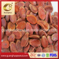 Hot Sales and Best Taste Watermelon Seeds